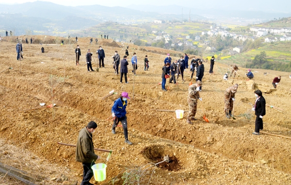 荣山镇人口_剑阁县元山镇常住人口(2)